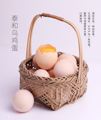 必要商城 大牌品质与工厂价格的家禽养殖新选择